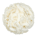 COCONUT • dried. slices. no additives.