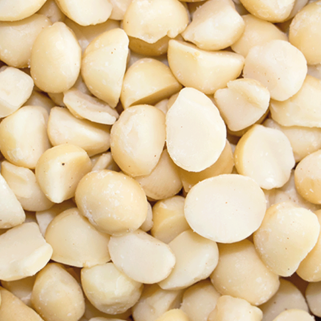 Transagri-MACADAMIA-1