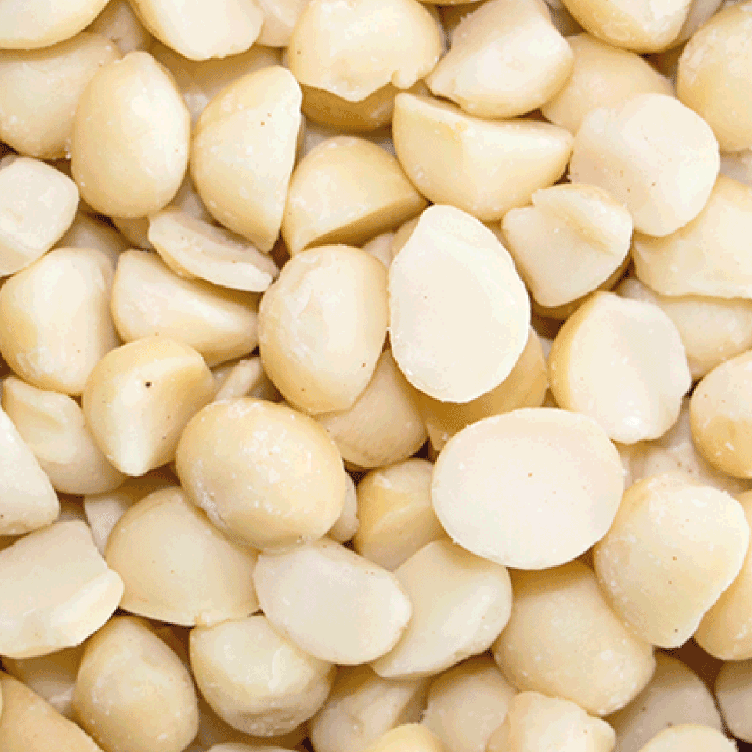 Close-up of macadamia nuts