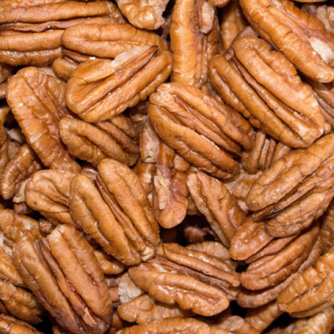 Transagri-NOZ-PECAN-Metades-1