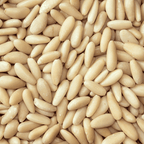 Close-up of pine nuts