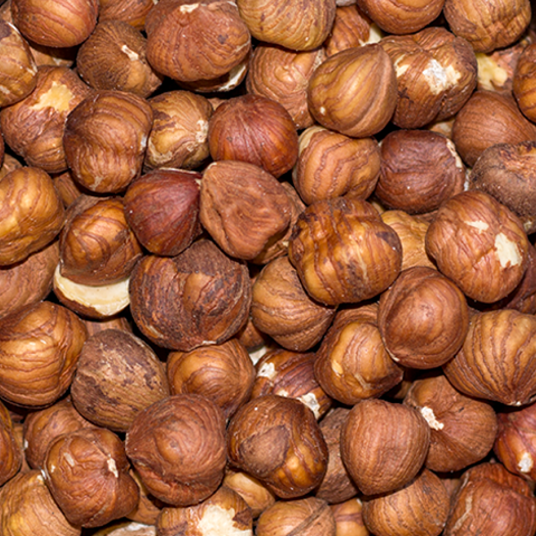HAZELNUT • raw kernels with skin. no additives.